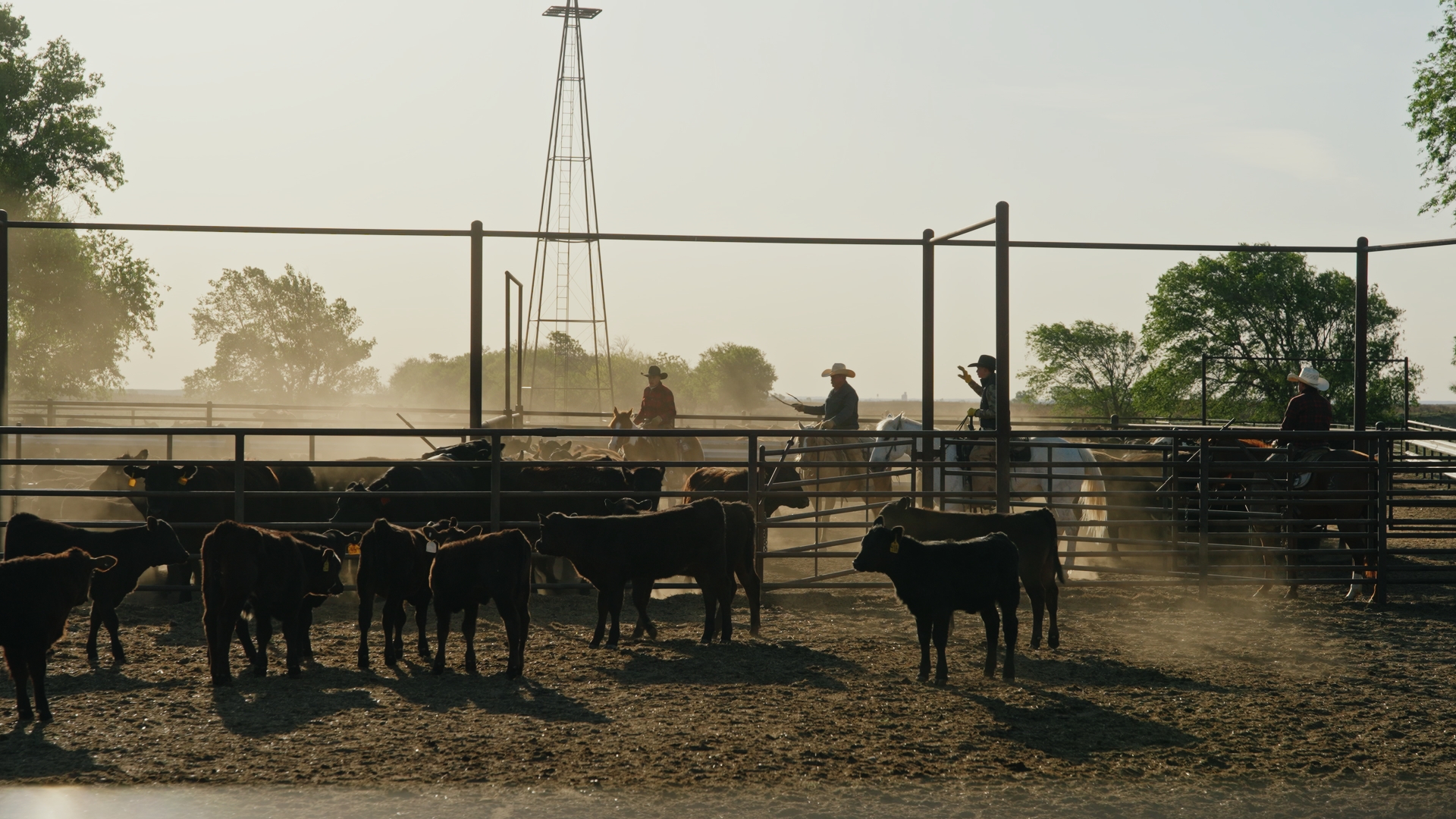 MCKINNEY LAND and Cattle photo