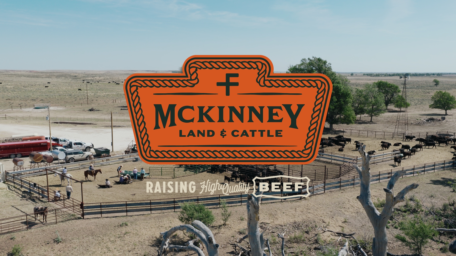mckinney video thumb